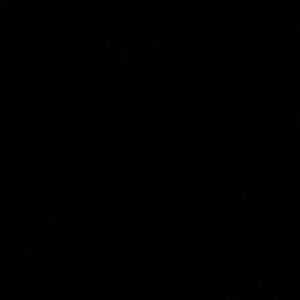 Meet your Posher, Cara